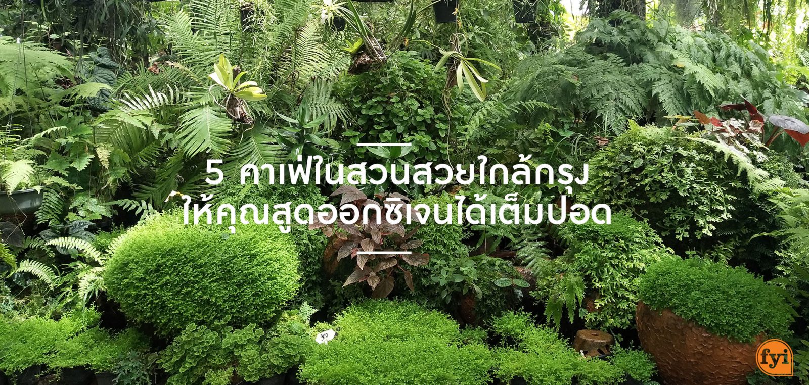 5 คาเฟ่ในสวนสวยใกล้กรุง ให้คุณสูดออกซิเจนได้เต็มปอด