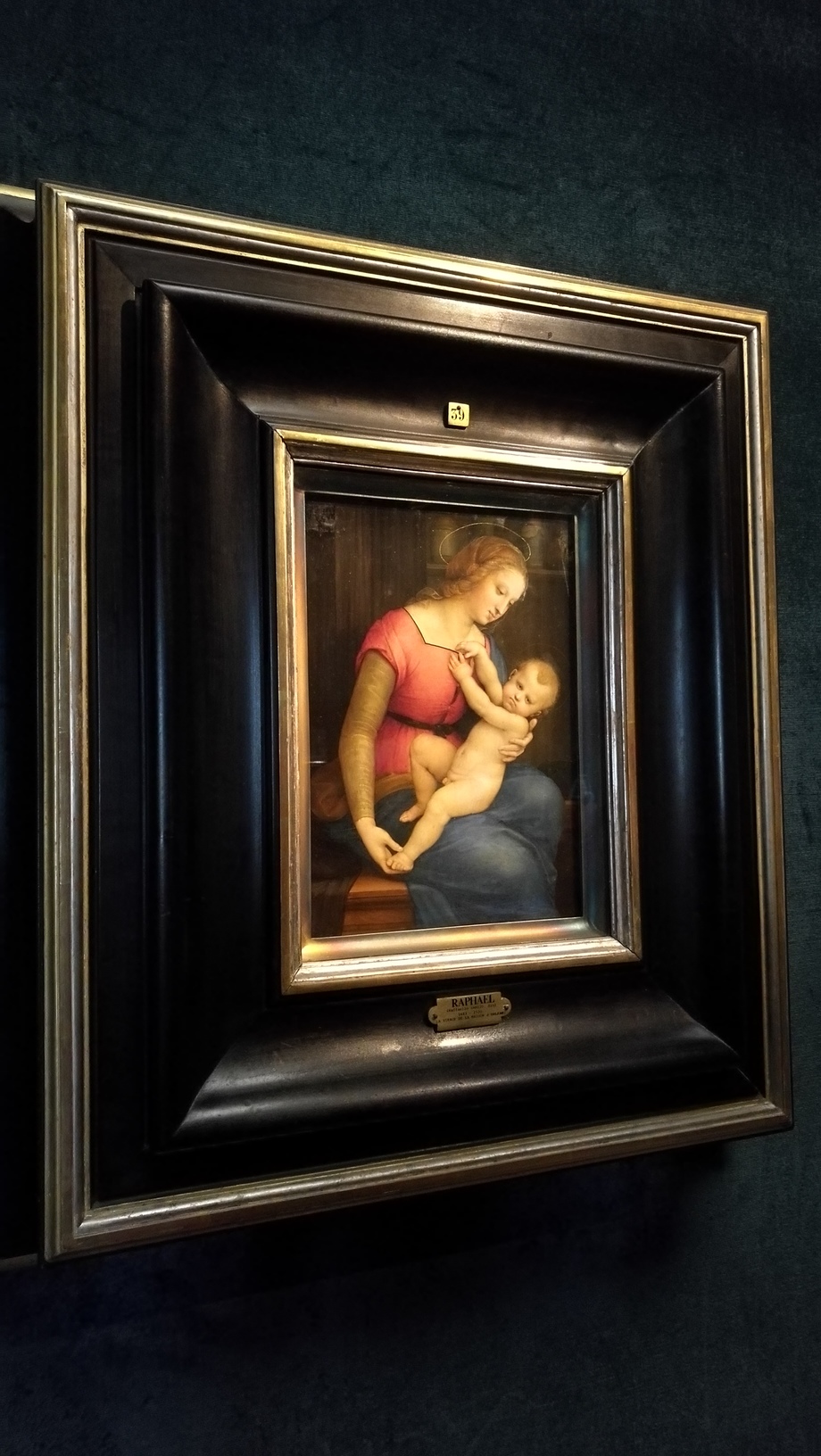 The Virgin of the House of Orléans โดย Raphael